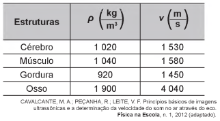 MUITOS PRIMATAS, INCLUINDO NÓS HUMANOS, POSSUEM VISÃO TRICROMÁTICA