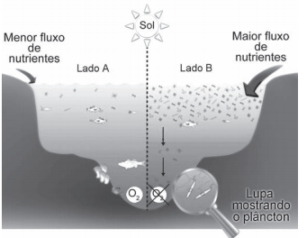 Questões ENEM 2010 sobre Biologia