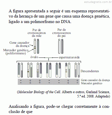 EXERCICIOS GENETICA PET 2 - Biologia Celular