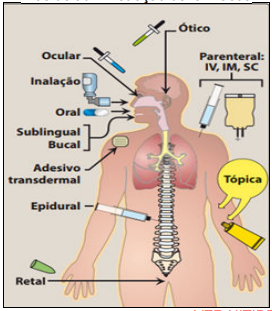 texto_7 .png (272×311)